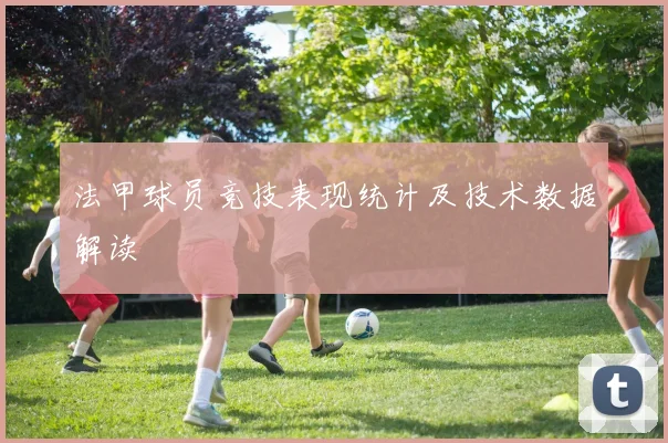 法甲球员竞技表现统计及技术数据解读